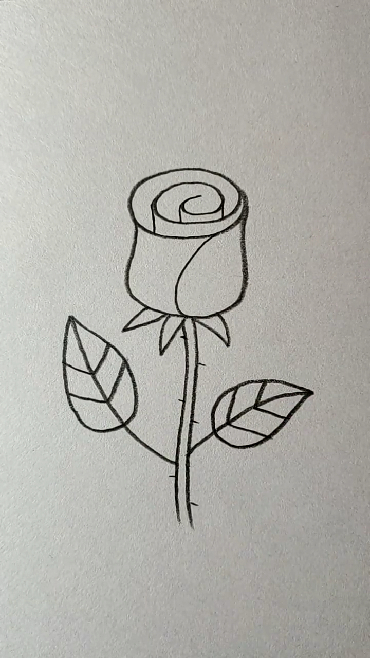 简笔画#用一条曲线画一朵玫瑰花