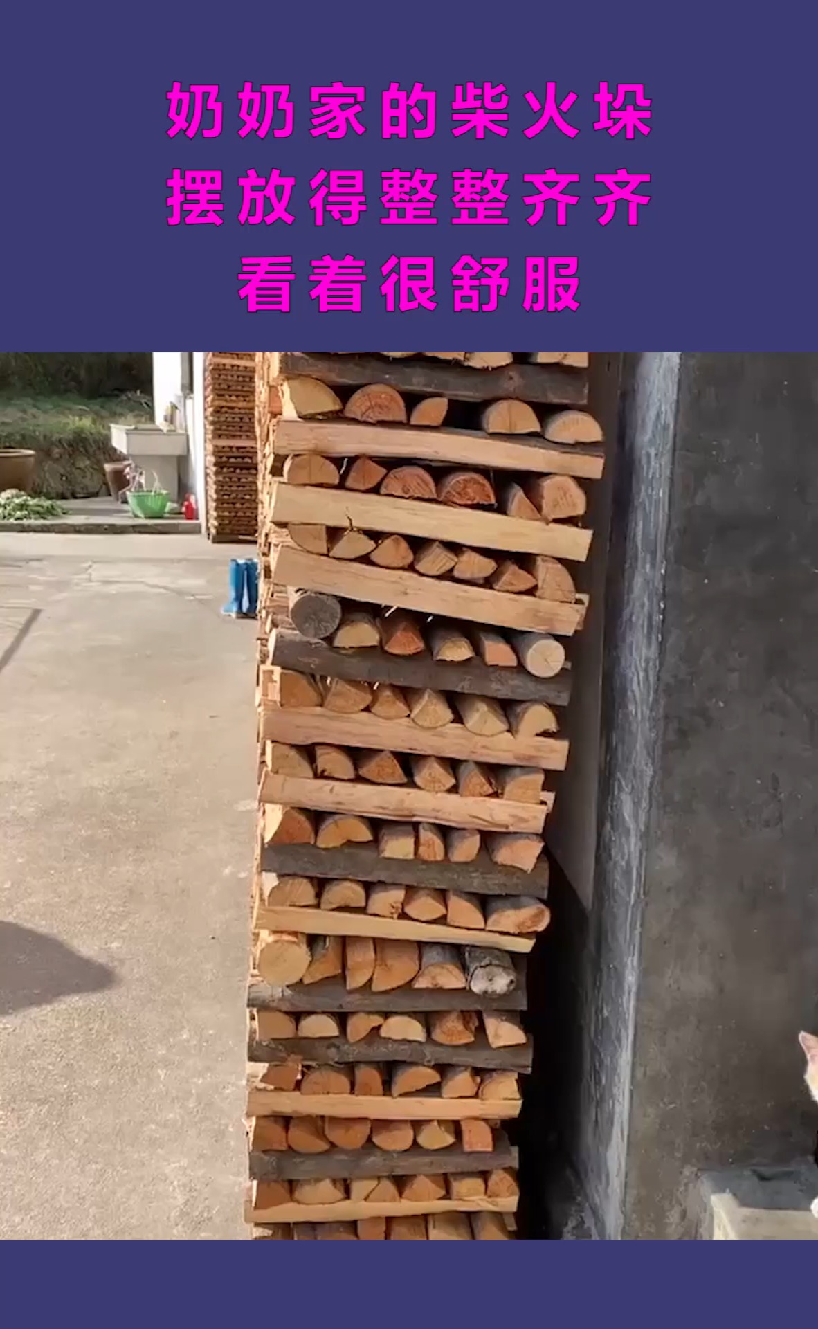 奶奶家的柴火垛,摆放得整整齐齐,看着很舒服!