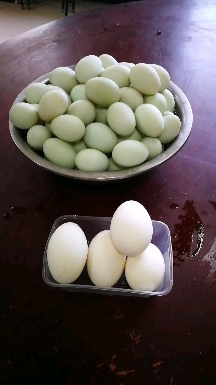 5天下的鹅蛋和鸭蛋!