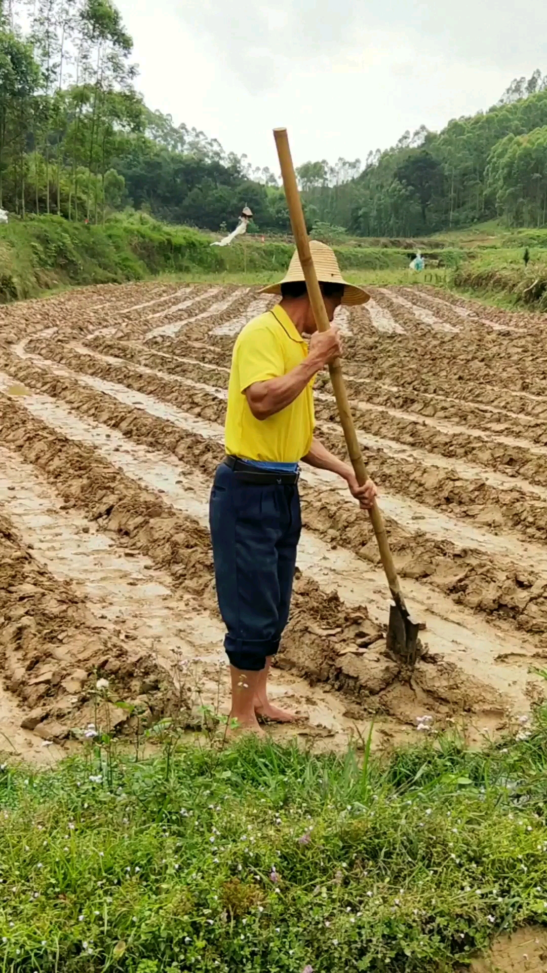 这块田的泥土,全部都是用人工来挖的