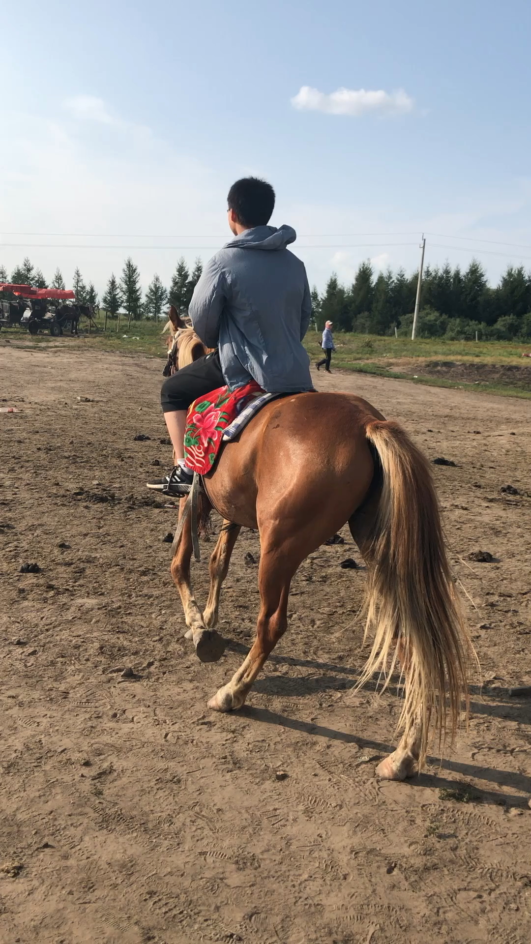 2019,立个新年flag#儿子第一次骑马!