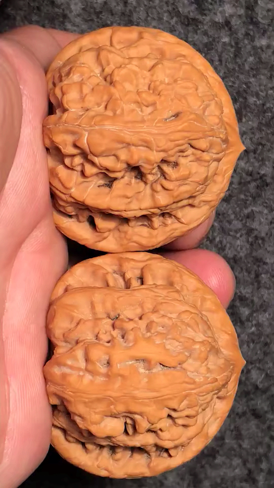 九山顶望月狮子头