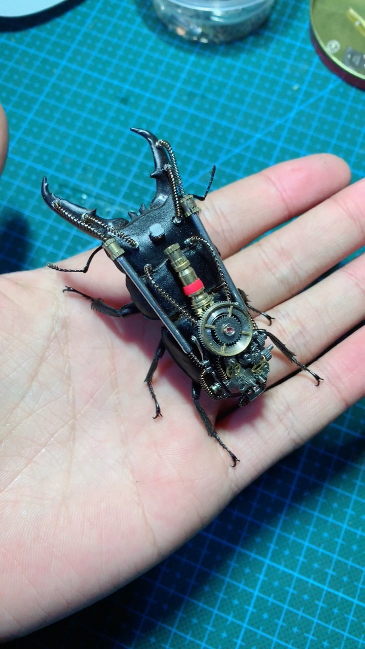 蒸汽朋克机械昆虫标本作品.锹甲