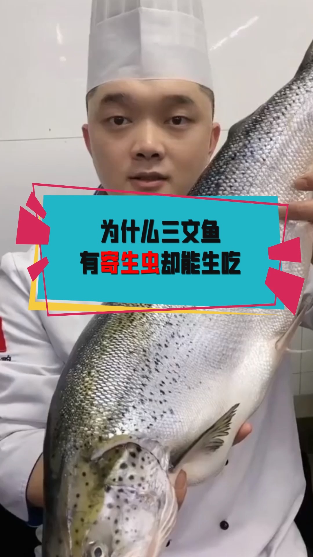 奇闻趣事抢先看#三文鱼有寄生虫还要生吃,原来有方法能减少寄生虫,你