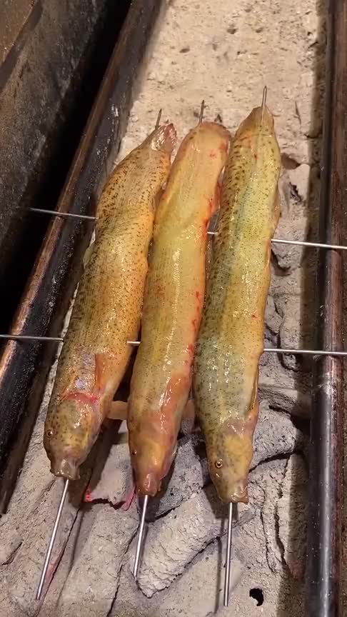 万物皆可烤泥鳅穿签子刷油撒料,两面金黄诱人!