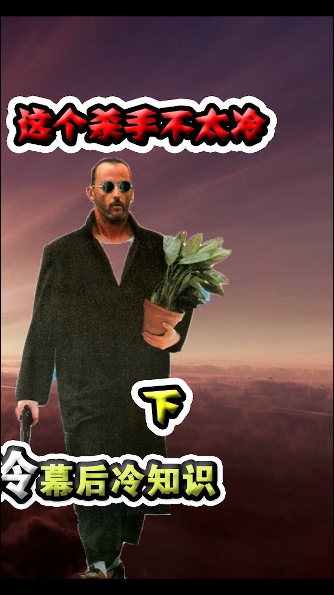 这个杀手不太冷#一人一花一小孩,亦师亦友,解读"这个杀手不太冷"暮篌