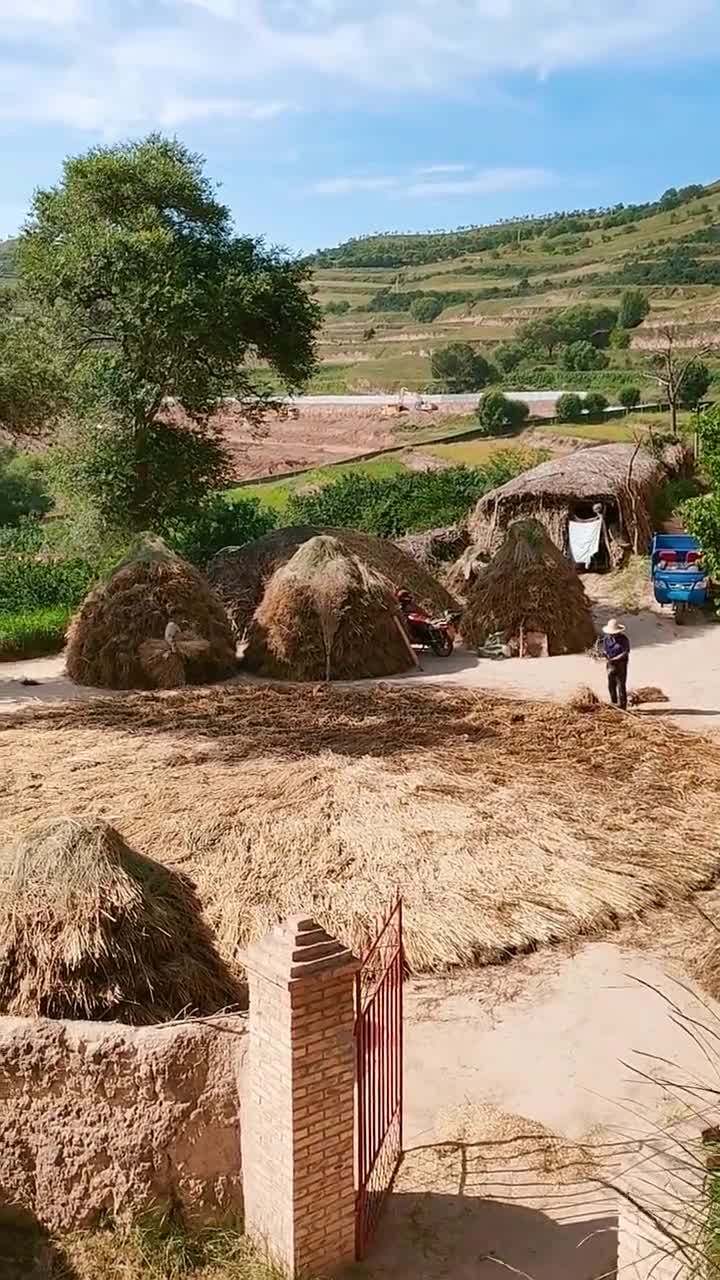 现代农村生活场景图片