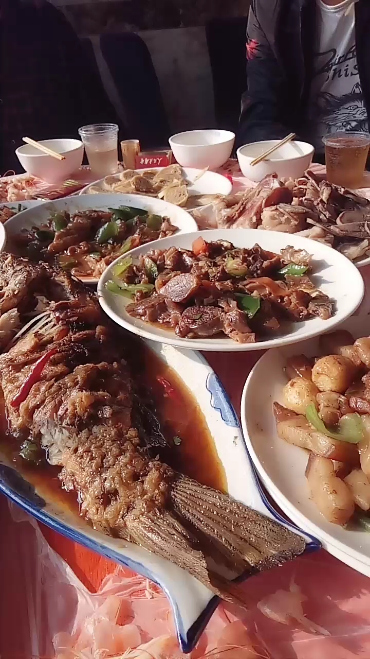 用餐坐席图图片