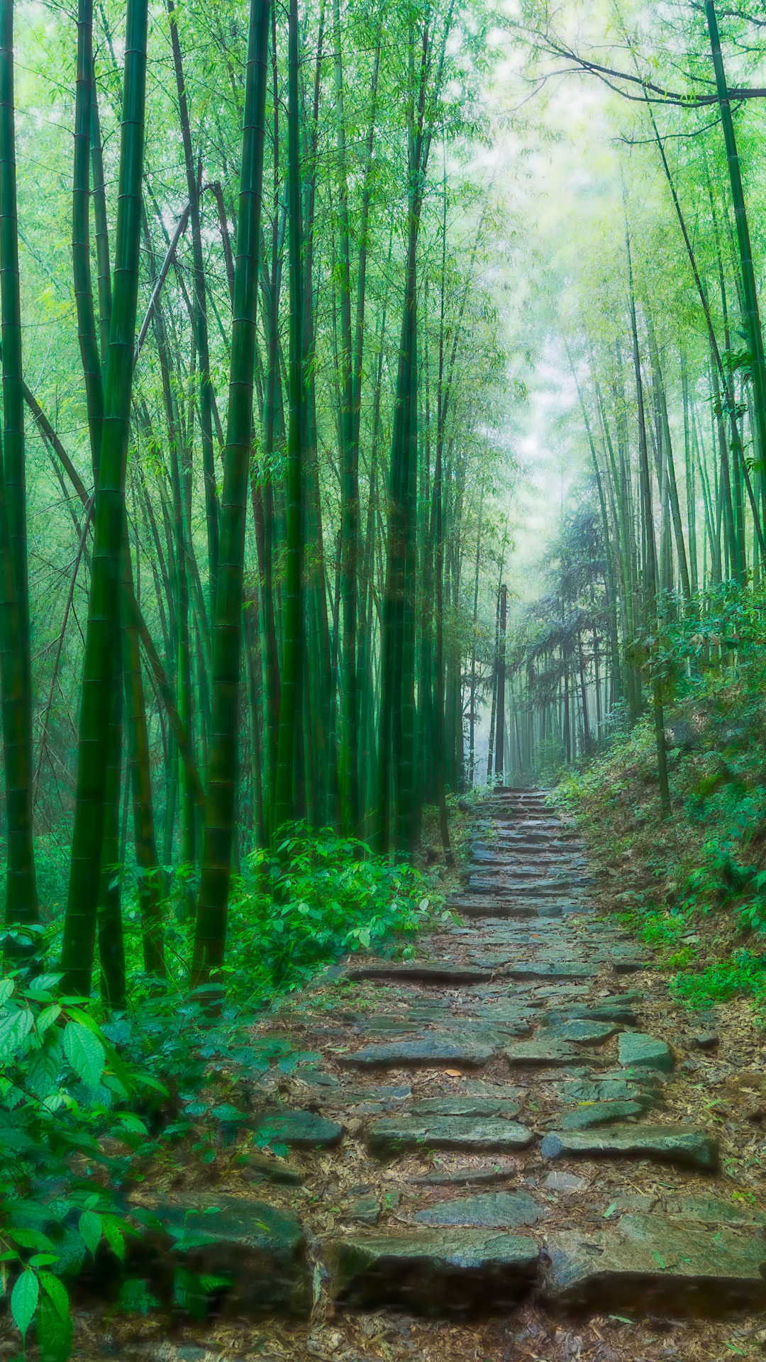 小时候老家边上有一片小竹林,如今无论走到哪看到有竹林都会忍不住