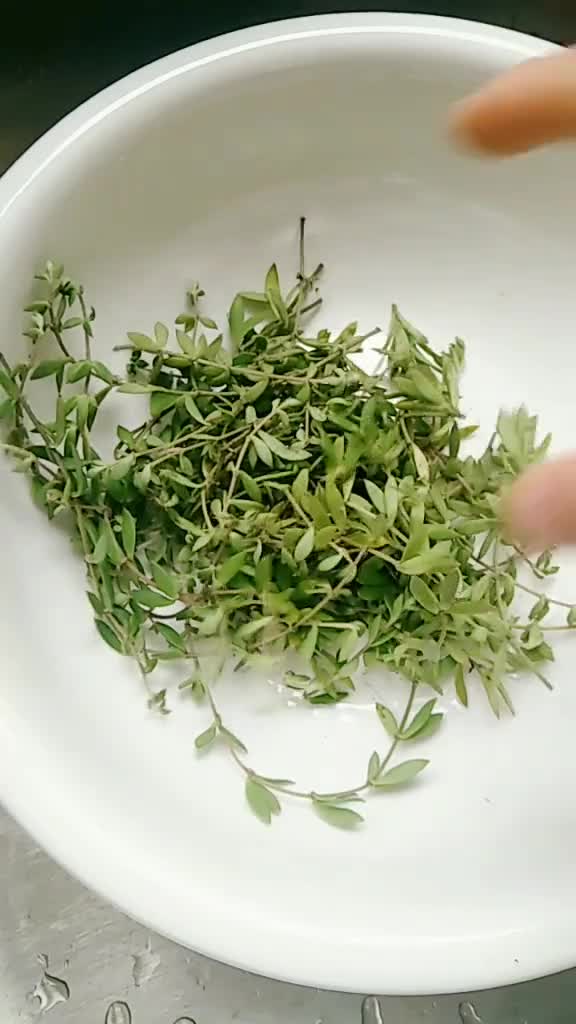 瓜子草千万别扔,好多人不知道了它还是个宝