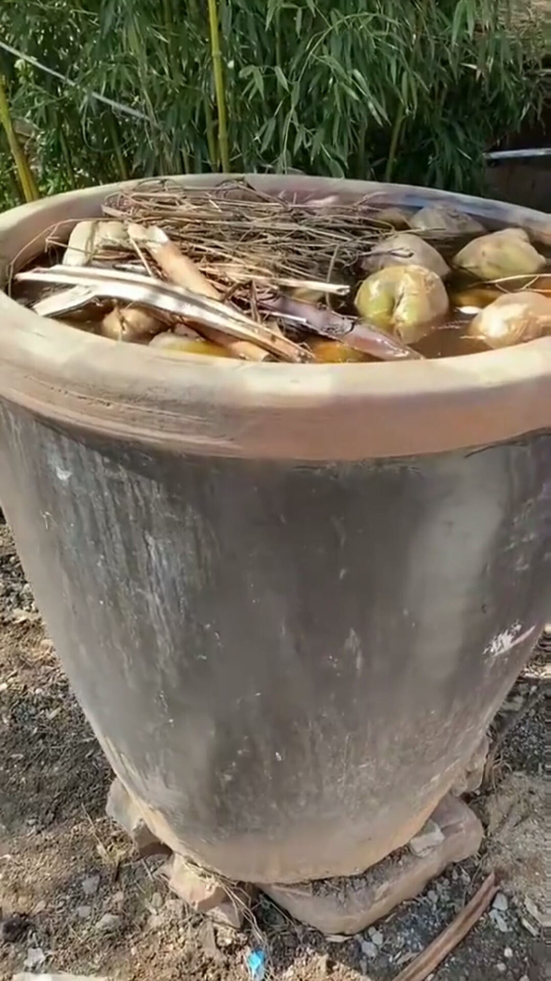 上学那会,俺妈总指着那大缸啦嘎哒咸菜说,这是你一年的菜,什么炒,拌