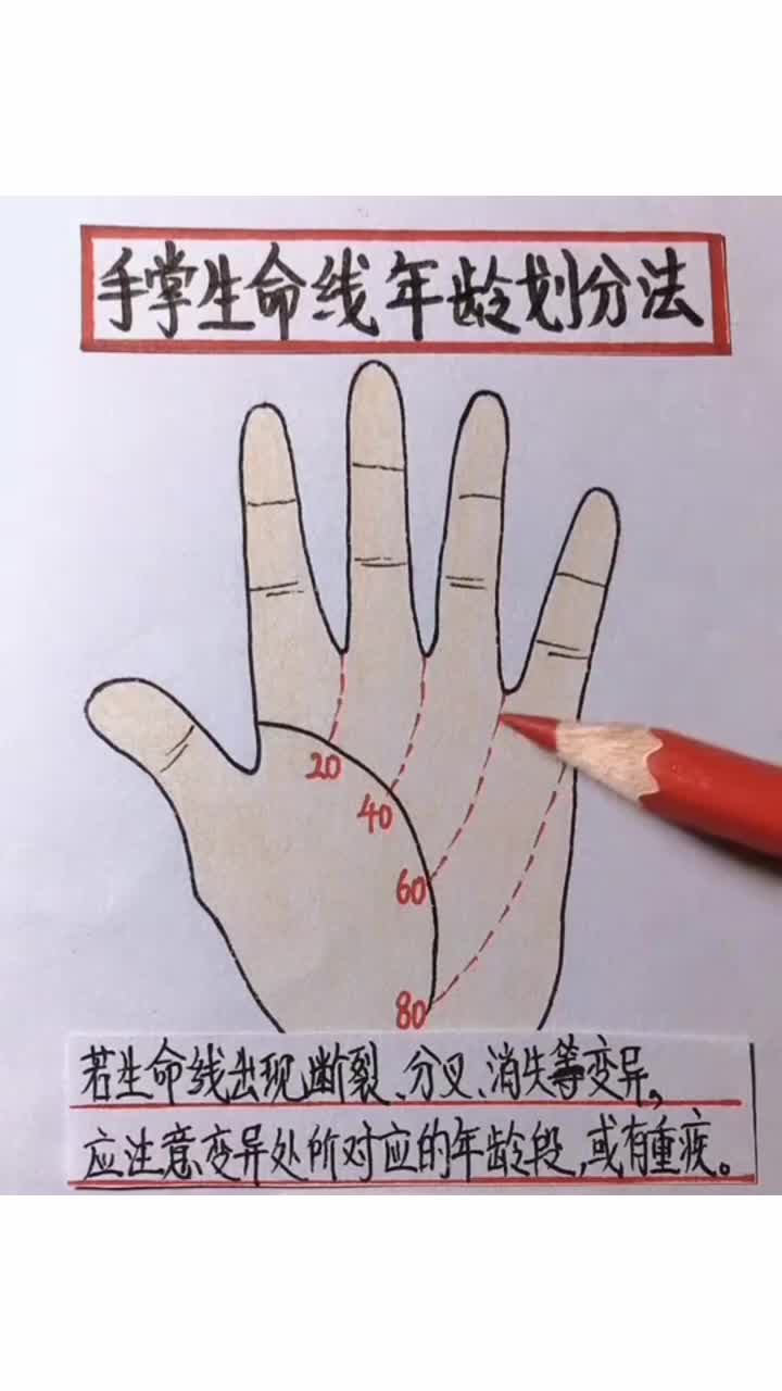 手掌生命线年龄划分法