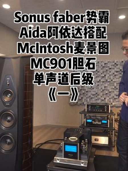 势霸阿依达搭配mcintosh麦景图mc901胆石单声道后级音箱功放热门