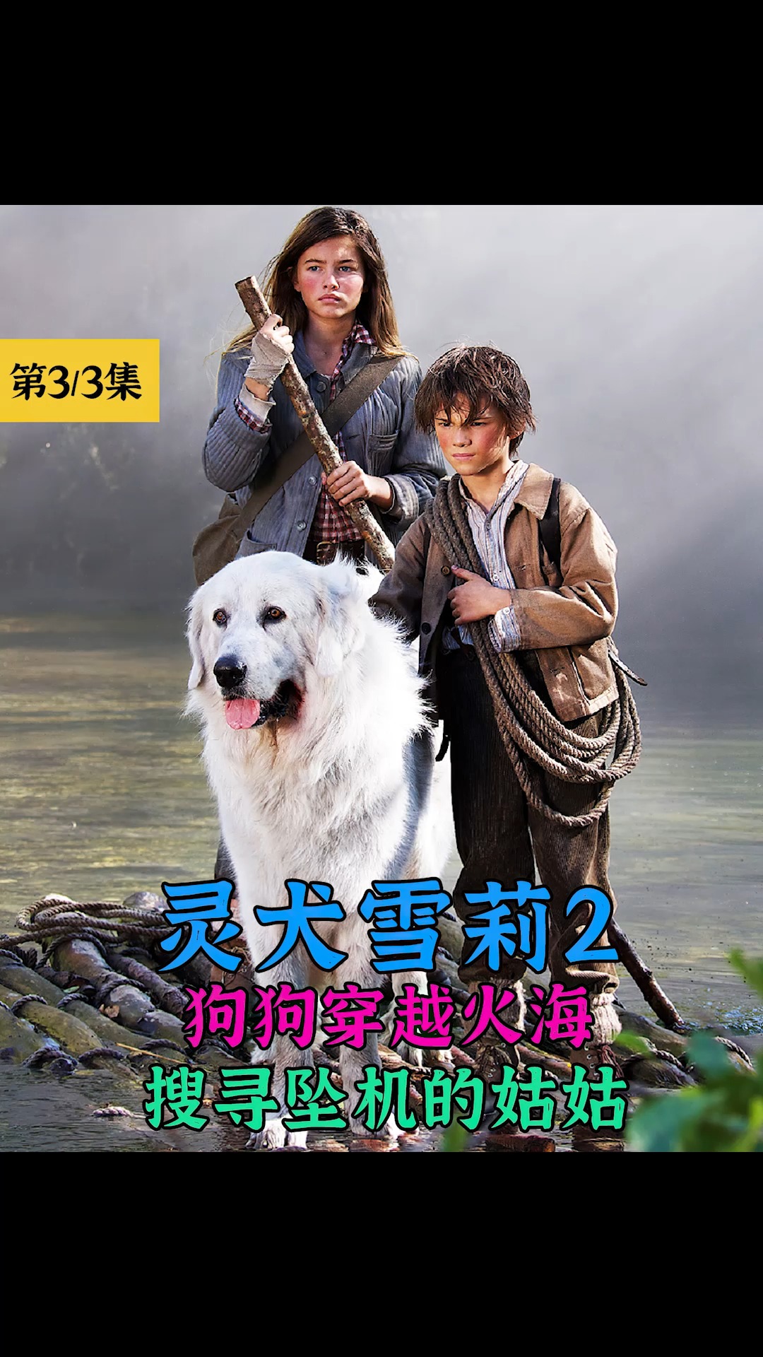灵犬雪莉2冒险再出发懂事的狗狗带领男孩穿越火海冒险搜寻坠落峡谷的