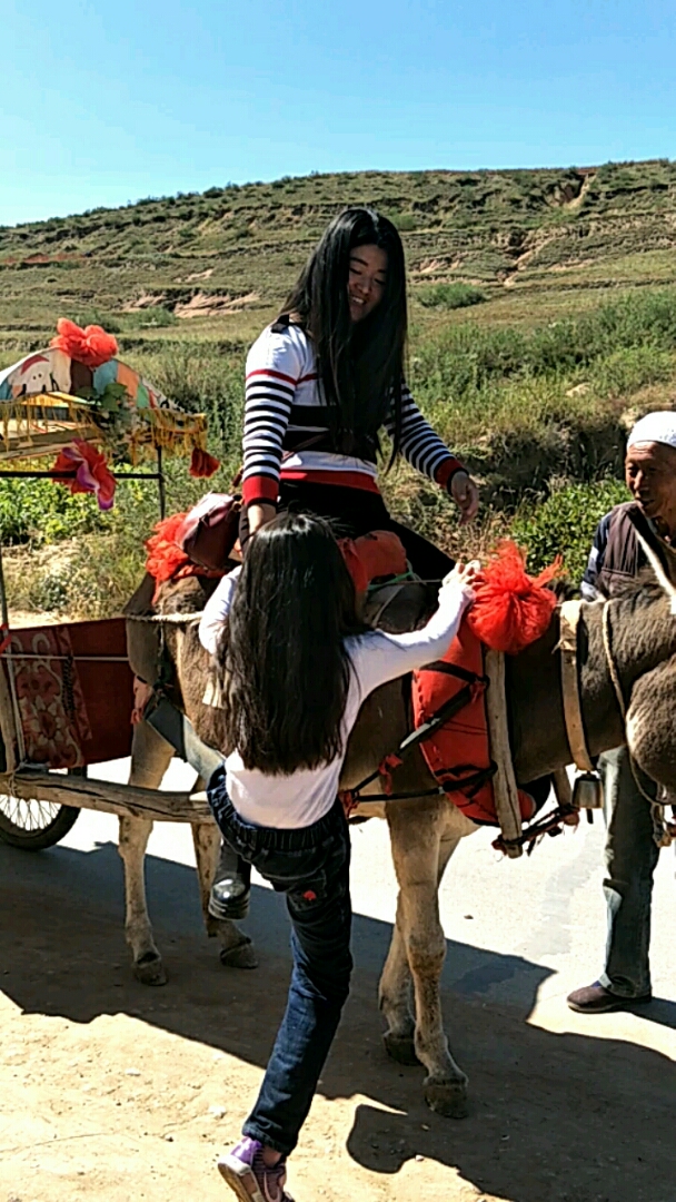 骑毛驴上北京图片