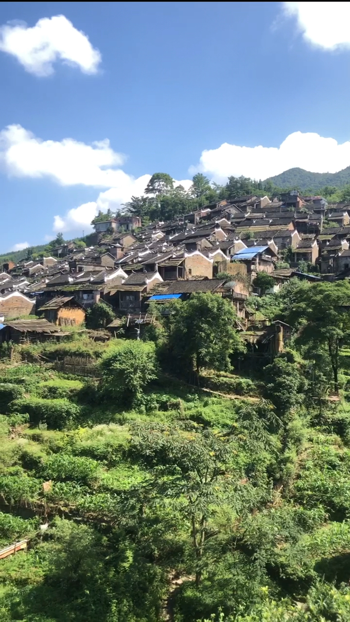 历史#连南瑶族自治县三排镇油岭瑶寨历史悠久,至今已有一千多年!