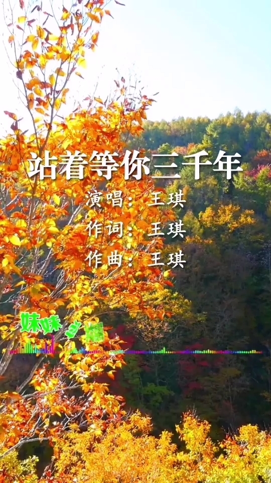 王琪《站着等你三千年》