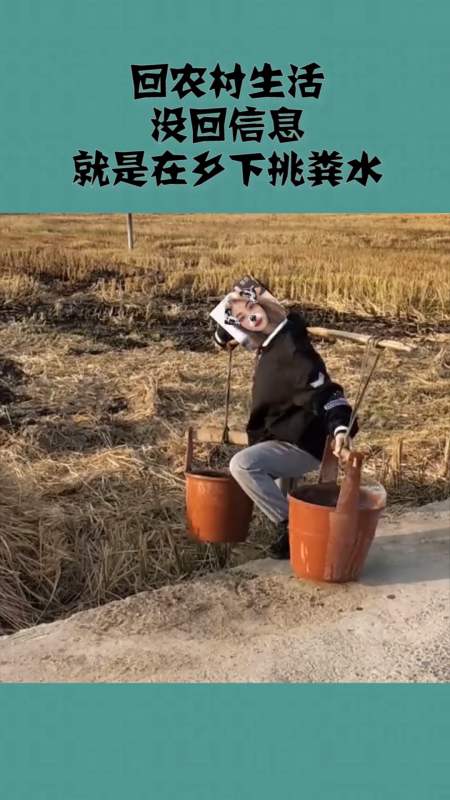 农村生活 没回信息就是在乡下挑粪水
