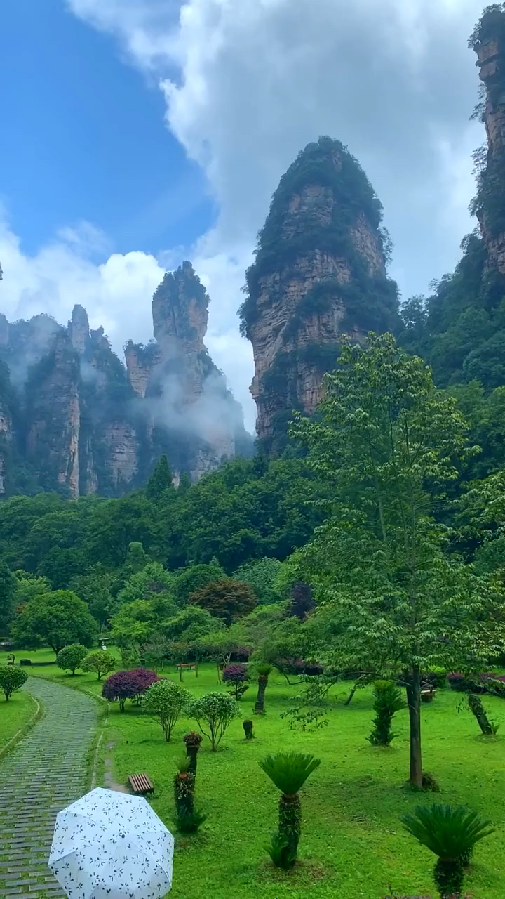 在家云旅游#张家界风景如画-人间仙境!