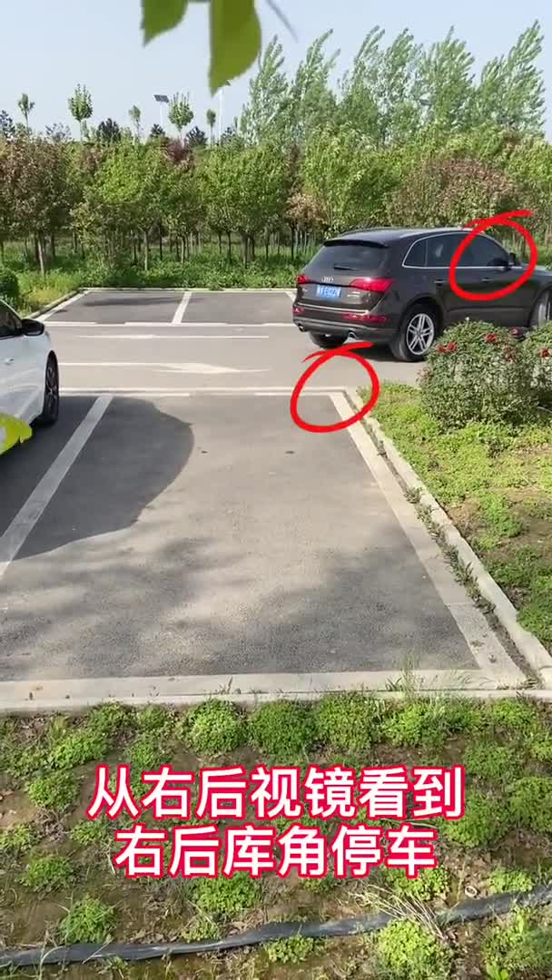 现实版suv倒车入库技巧,你学会了吗