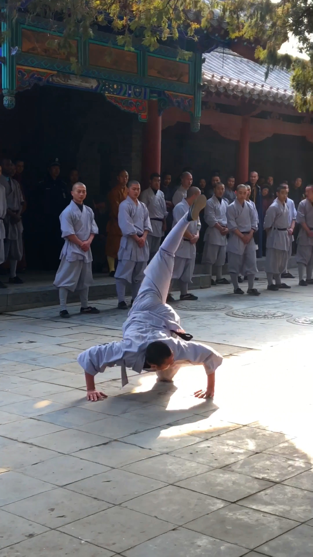 传承少林功夫 少林蝎子拳