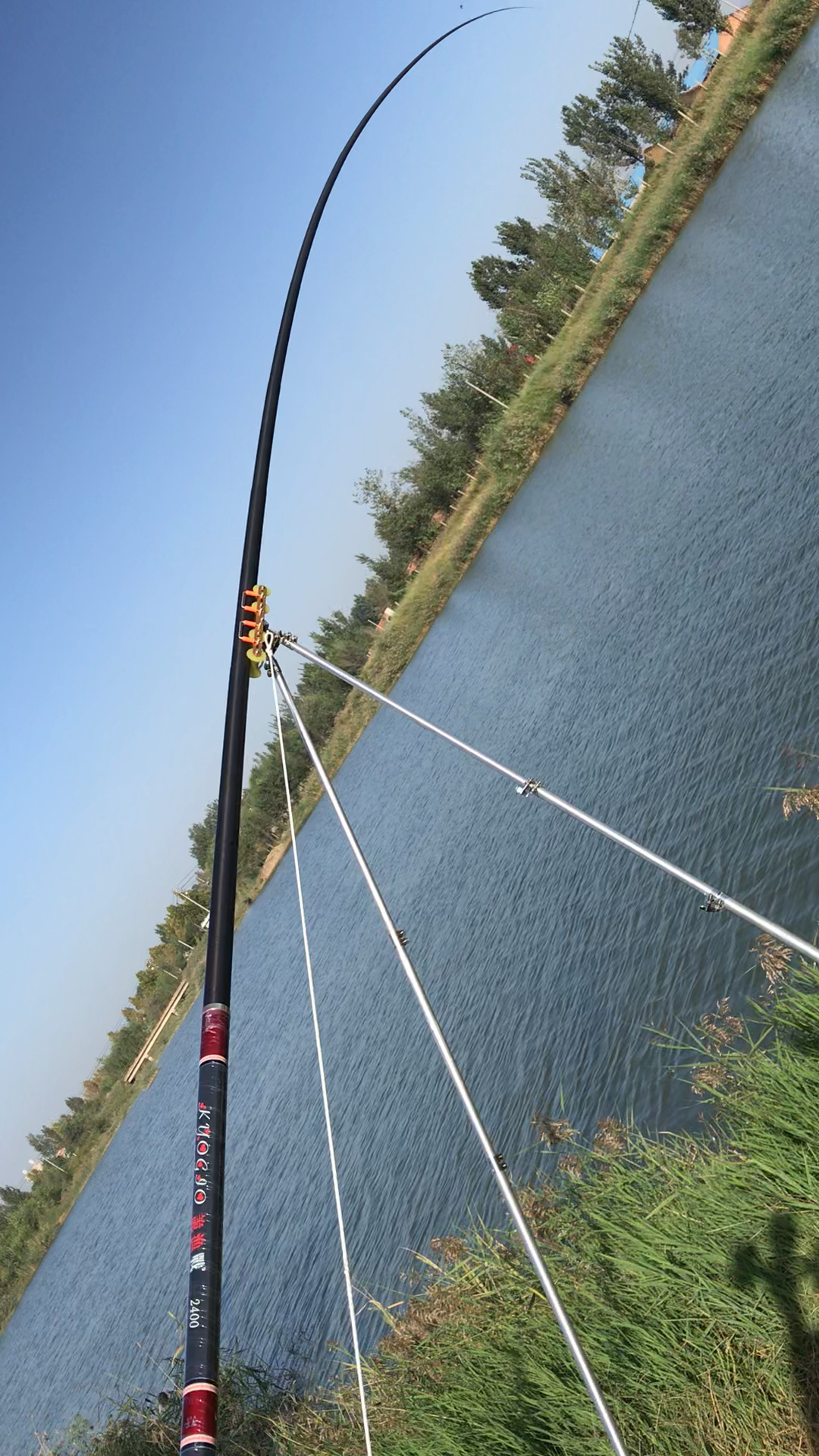 钓鱼#16米到35米炮竿