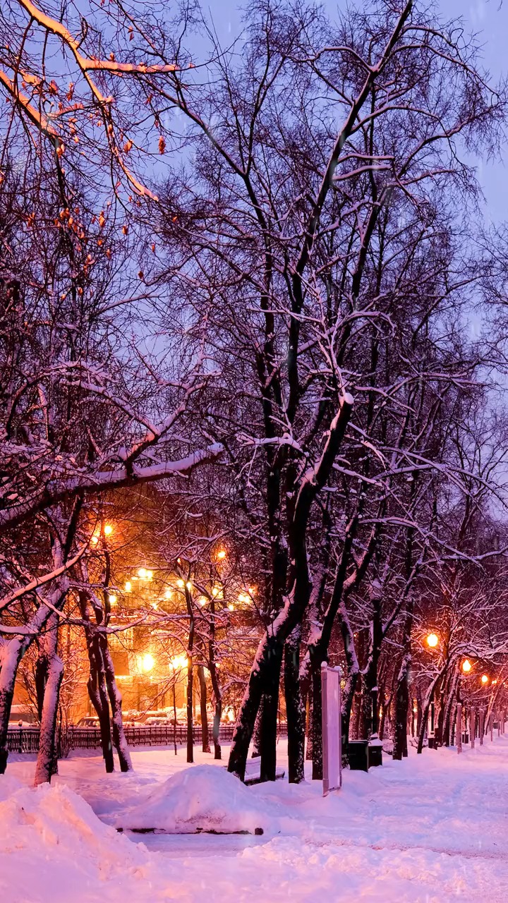 夜晚图片唯美下雪图片
