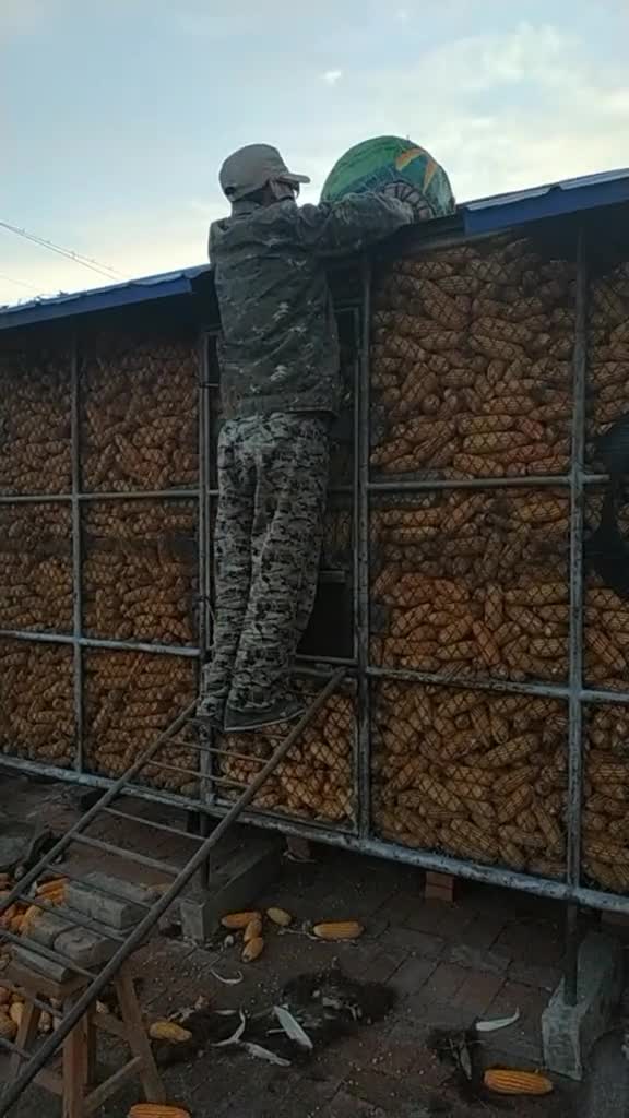 玉米装笼子新方法,原来如此啊-度小视