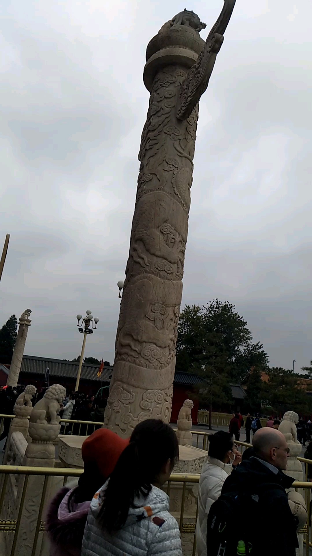 带上全民去旅行#天安门里,故宫外的华表,注意望天吼的脸朝北,天安门