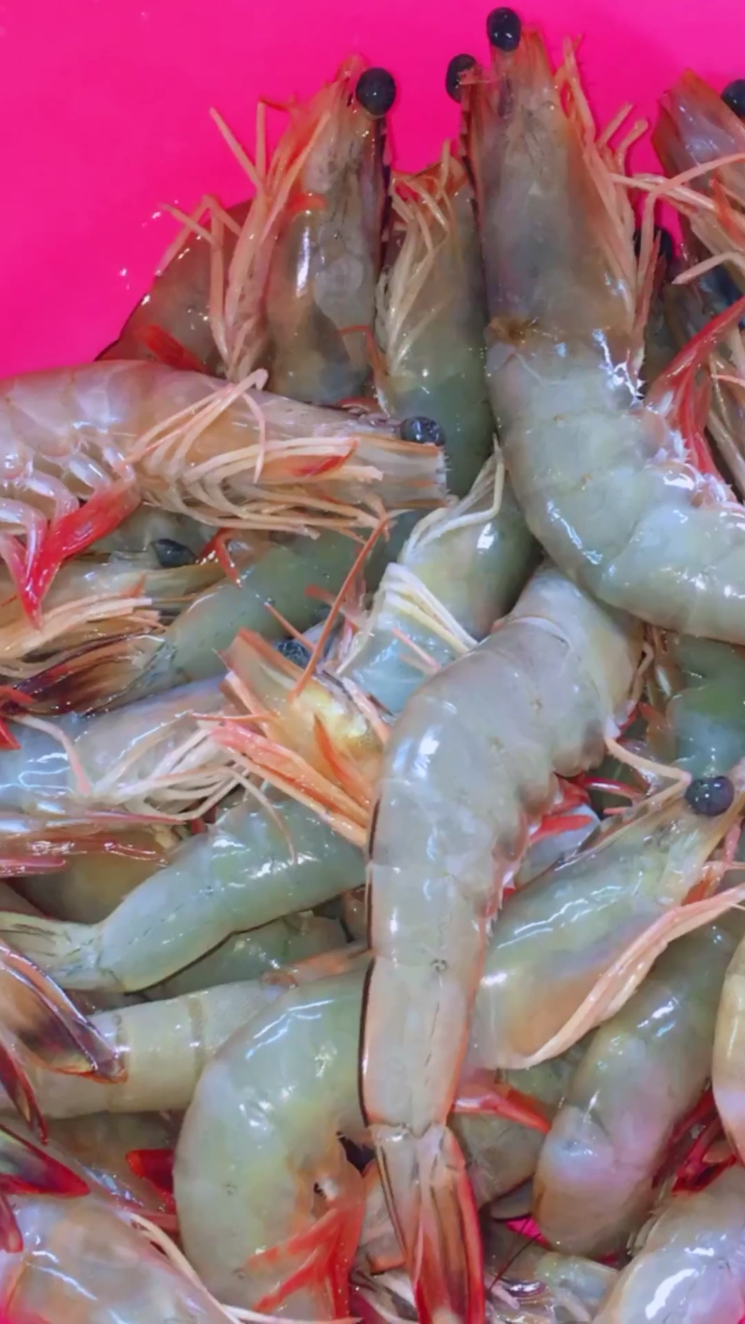 水煮海虾,祝大家生活红红火火