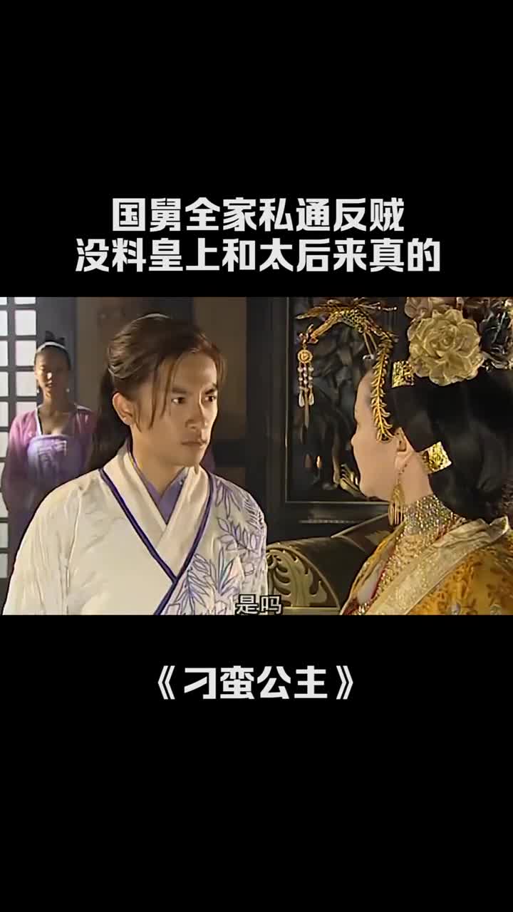 国舅叛国投敌没料皇上和太后会动真格了刁蛮公主苏有朋张娜拉