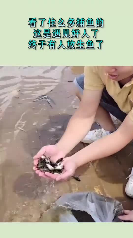 看了住么多捕鱼的这是遇见好人了终于有人放生鱼了