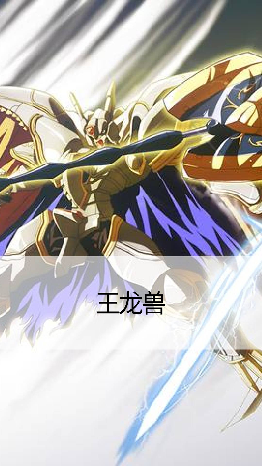 王龙兽