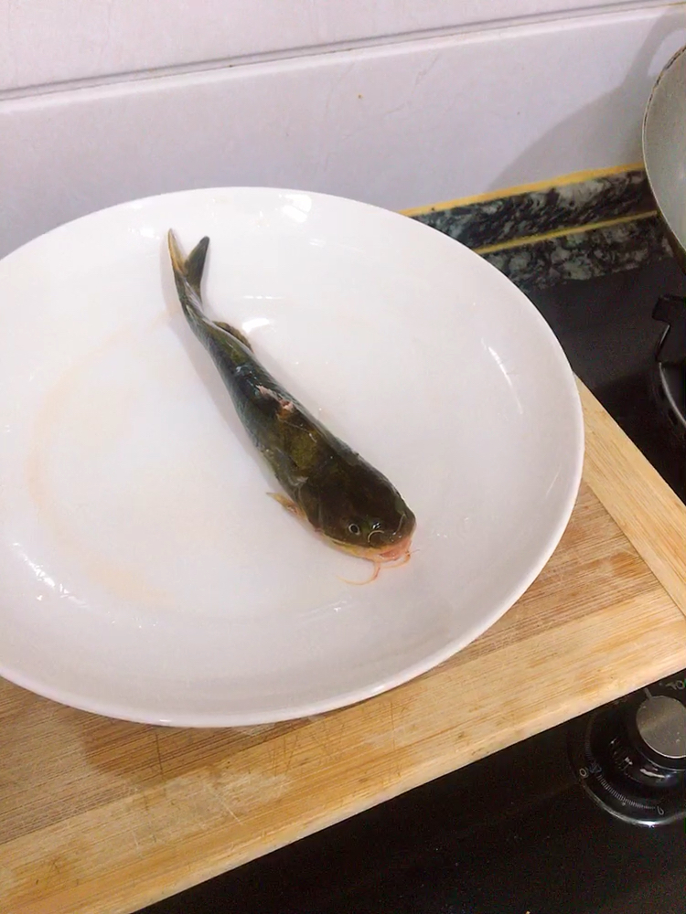 一条戈牙?鱼怎么吃