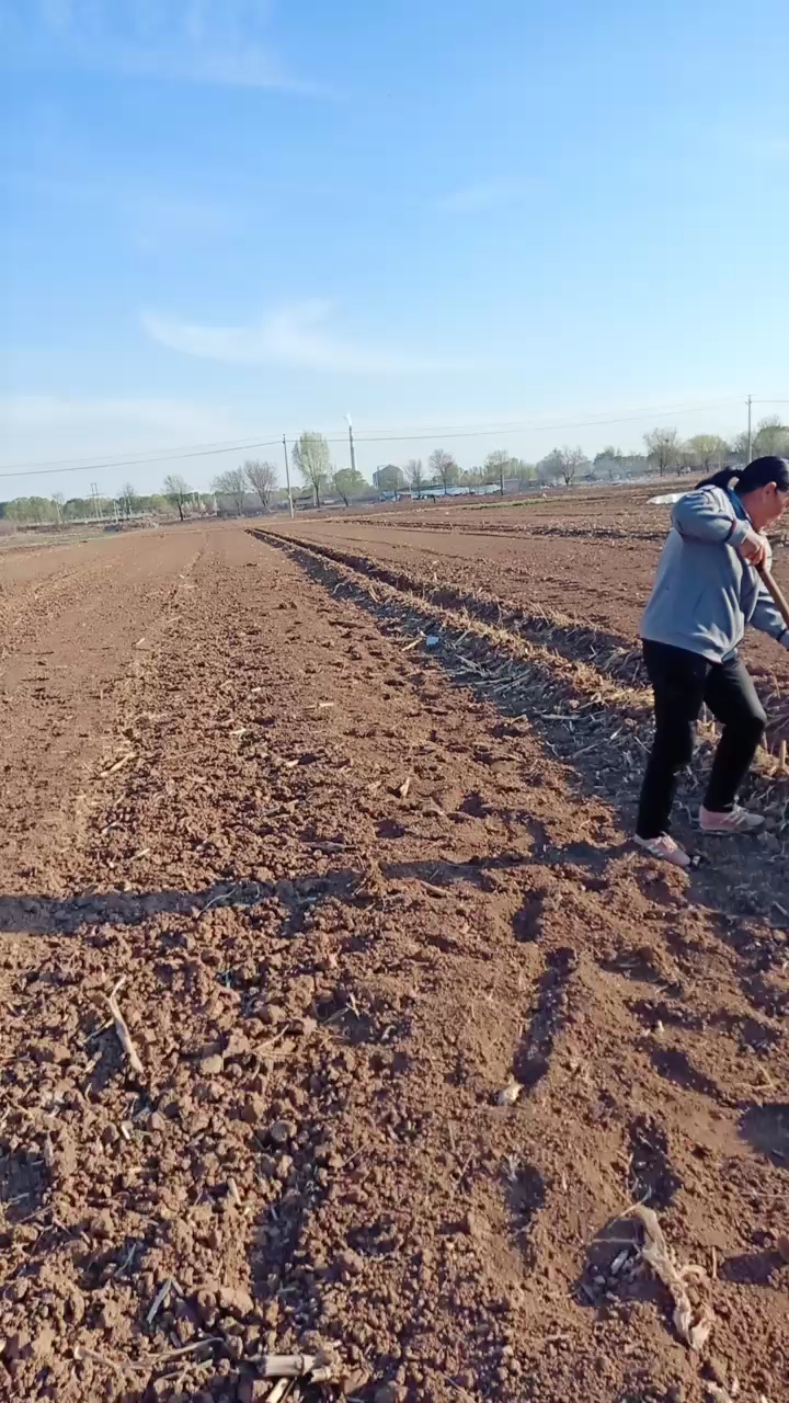 又是一年春种日,宝宝跟奶奶来地里干活啦,劳动最光荣