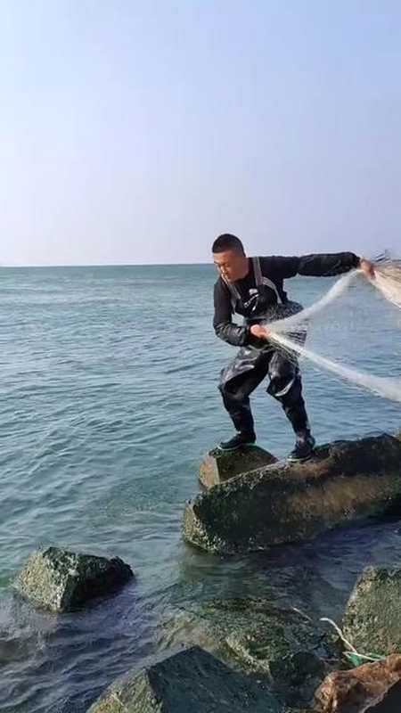 大白眼爆网,真正的海鱼, 撒网 撒网捕鱼