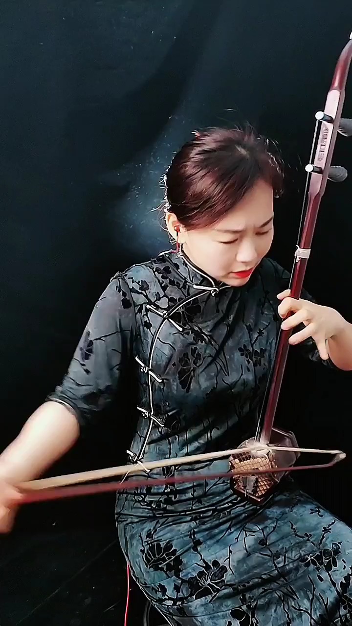 古典中国风国风古韵民乐艺术欣赏二胡独奏一枝花恭祝虎年新春愉快