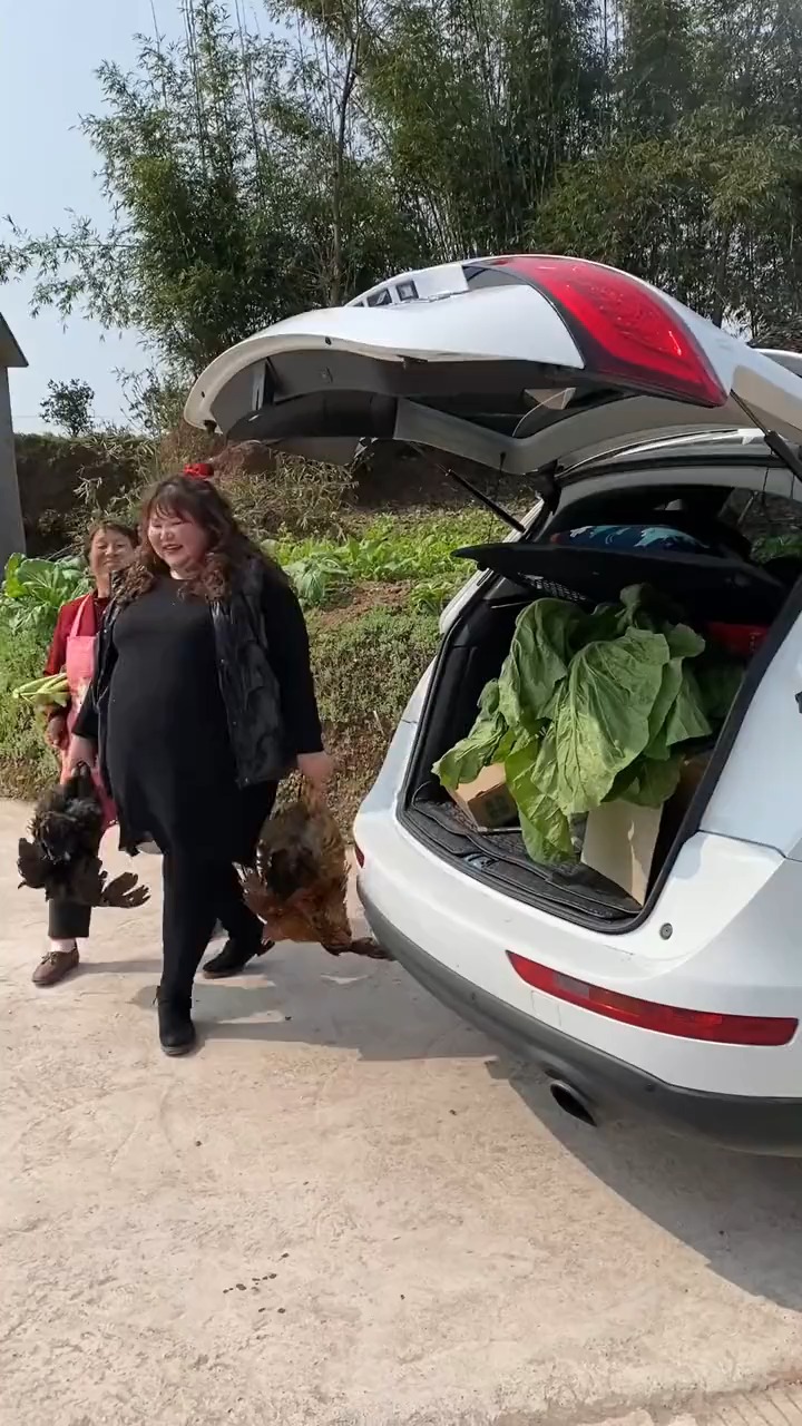 回来空脚空手,走的时候拿东拿西的