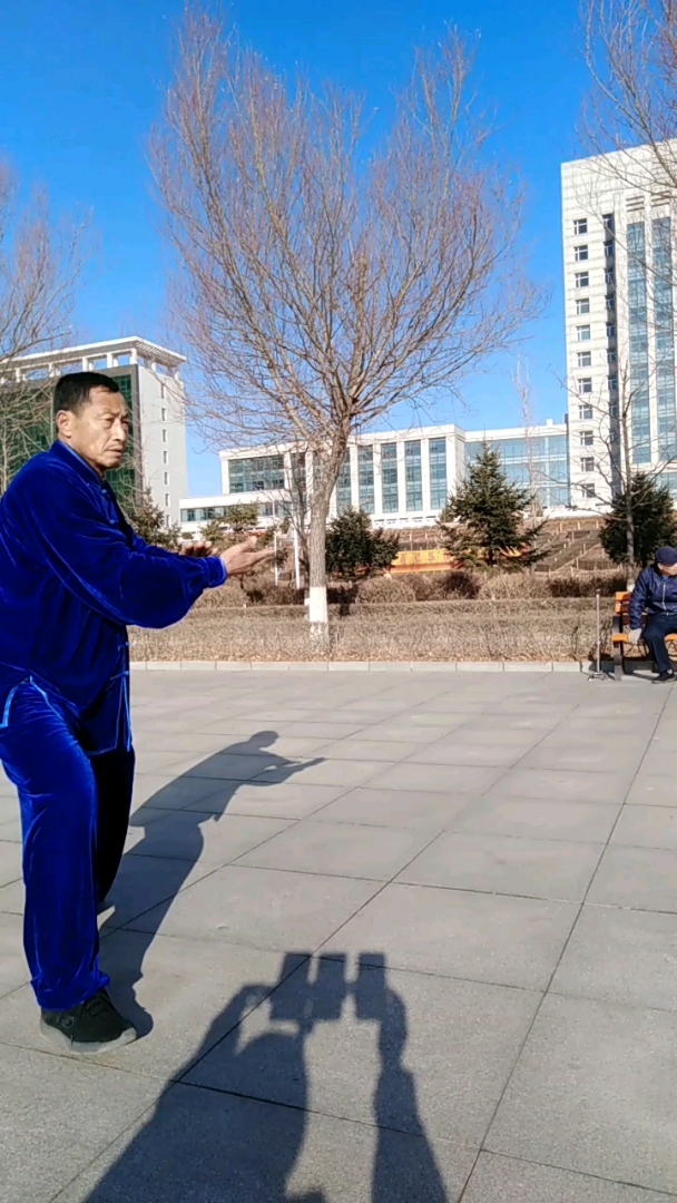 吴式83式太极拳