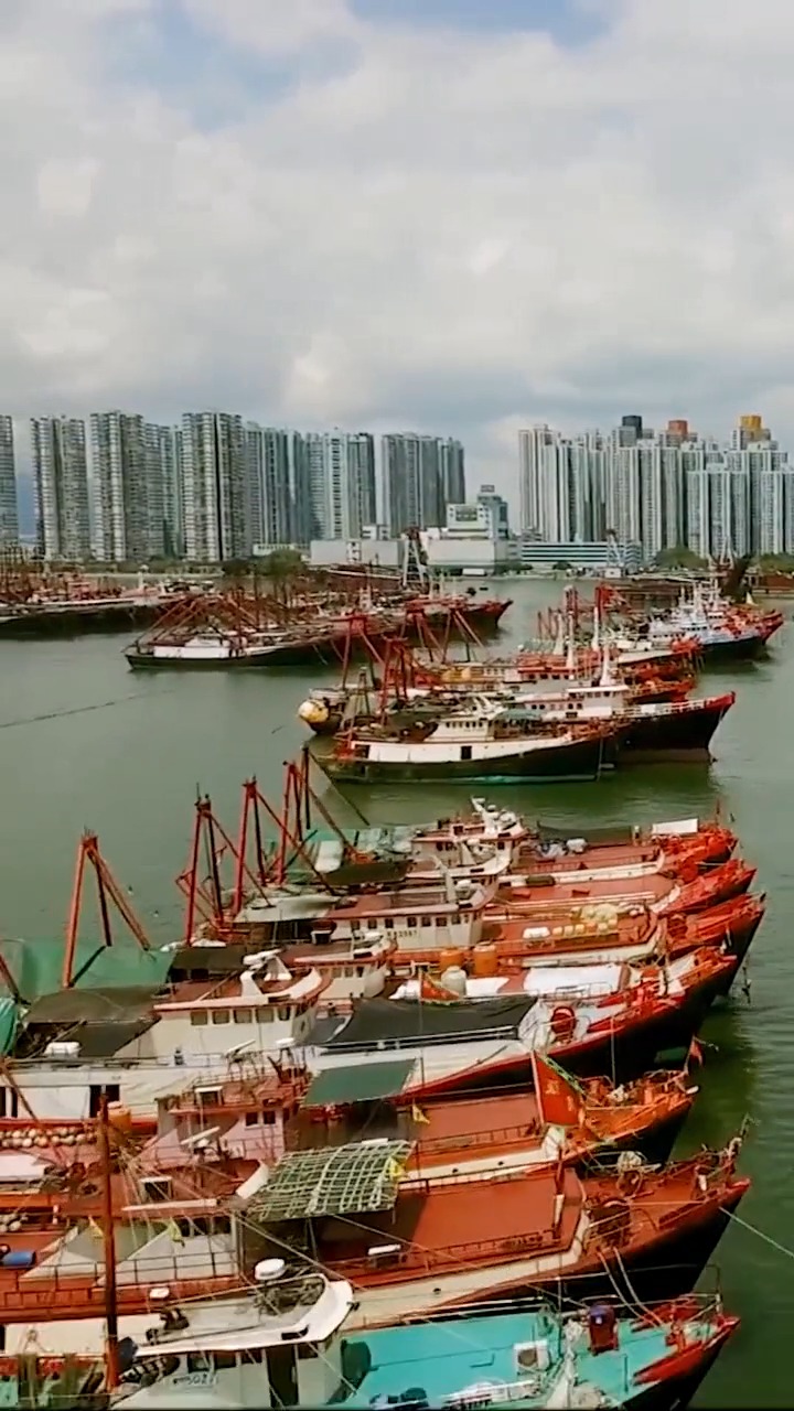 俯瞰青山湾码头#俯瞰青山湾码头