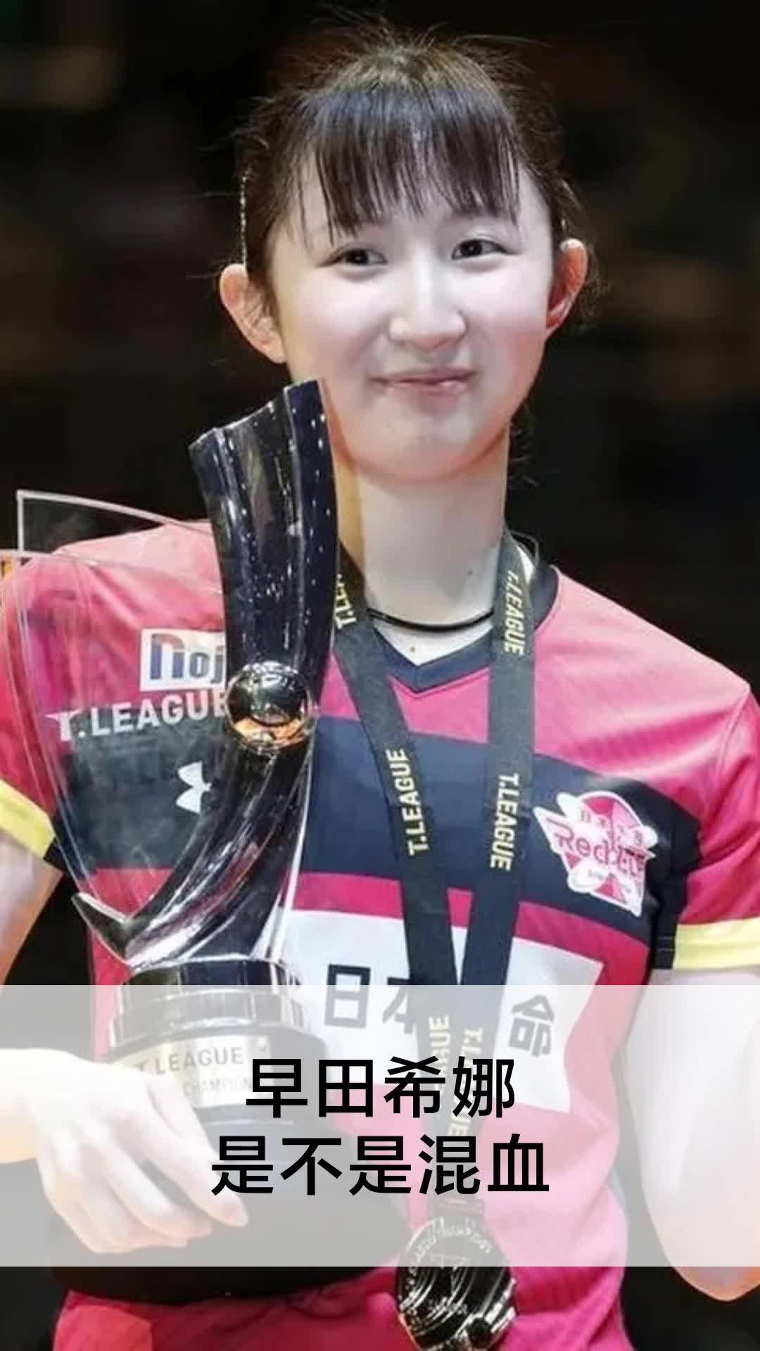 早田希娜是不是混血