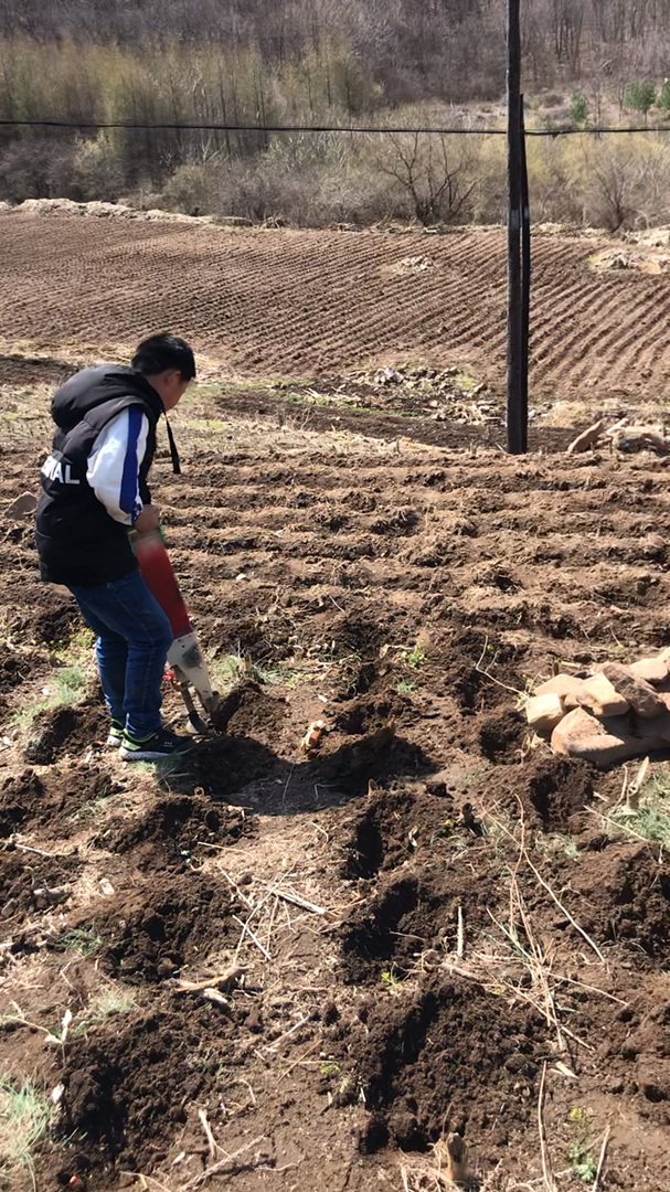 #秀出我的家乡味#开春了,种地,勤劳的小男生