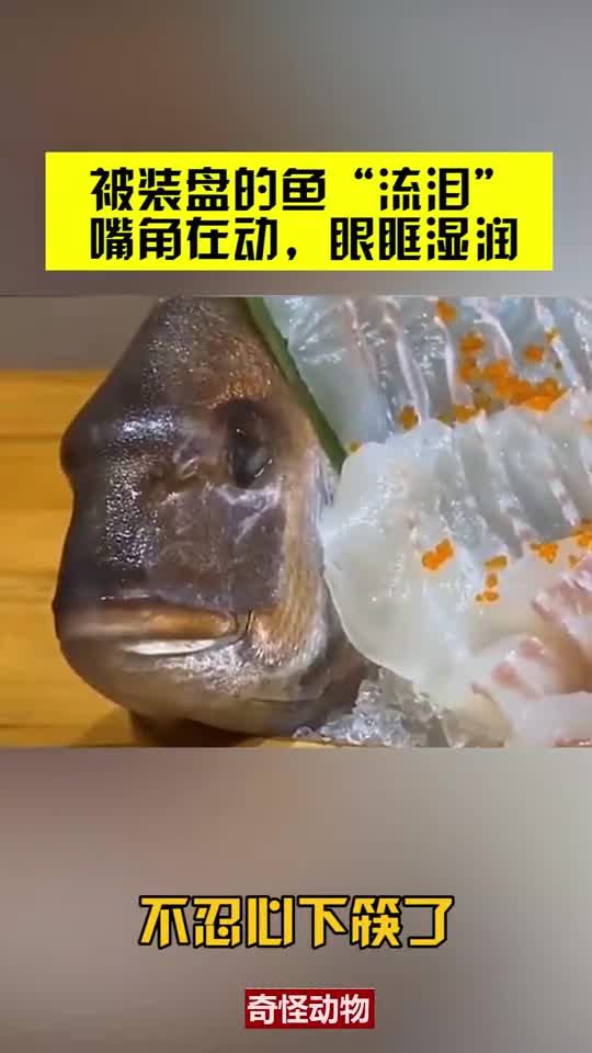 鱼在水里流泪的图片图片