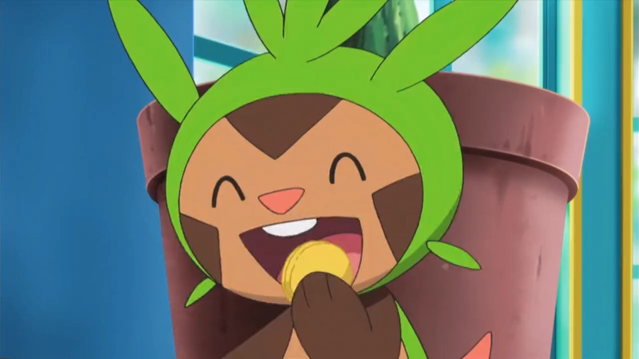 哈力栗像不像你身边特别贪吃的朋友?