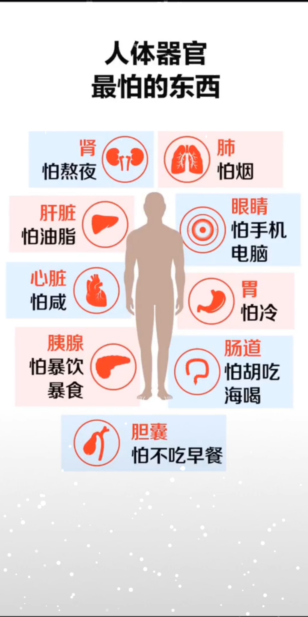 脏腑养生#人体器官最害怕的东西一定要注意哦!