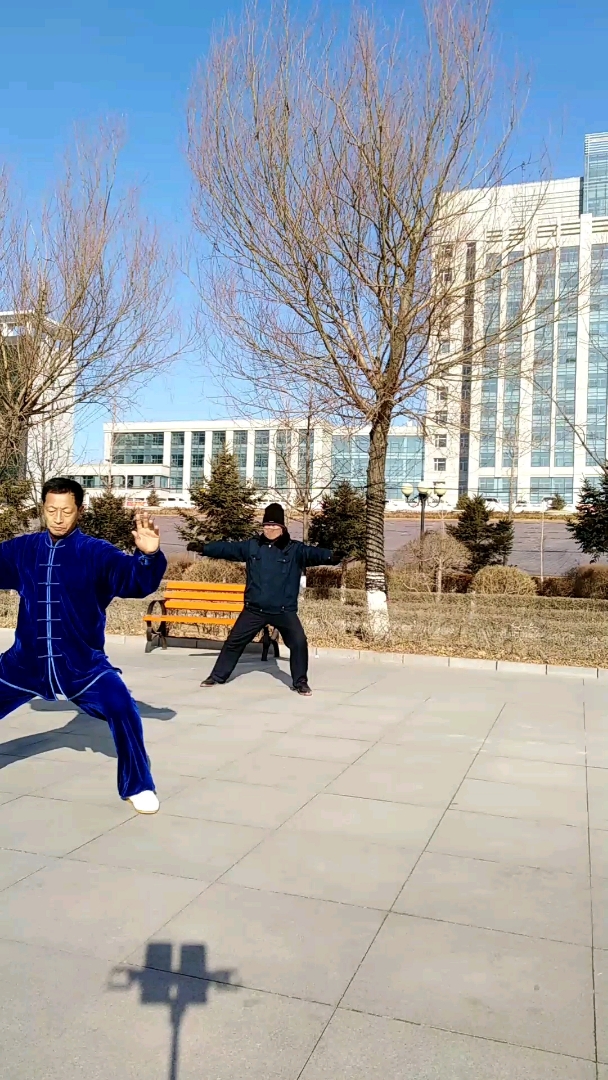 陈氏混元24式太极拳