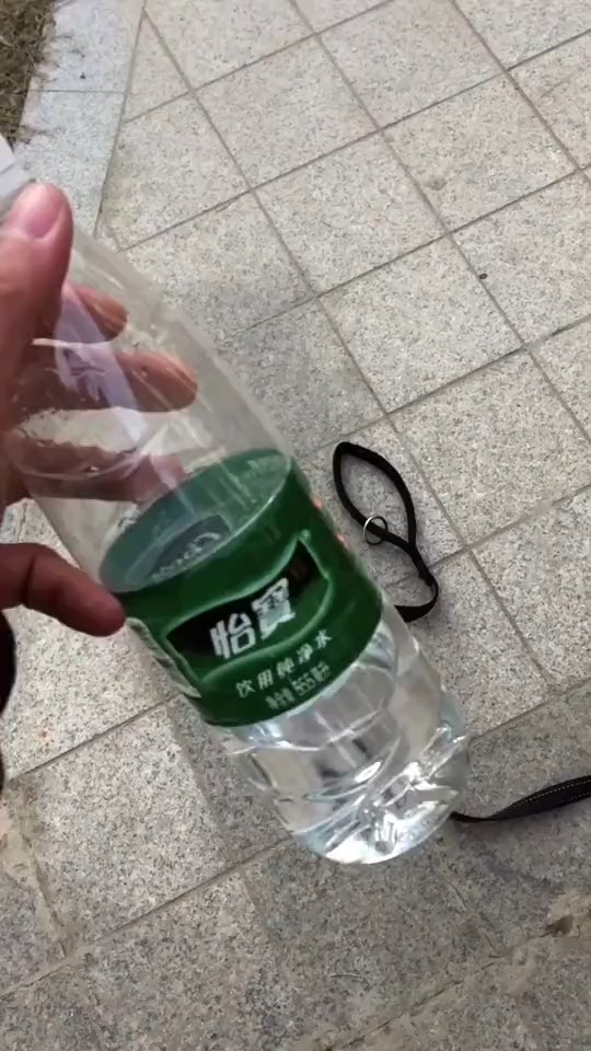 信不信我用半瓶矿泉水就可以拴住二哈