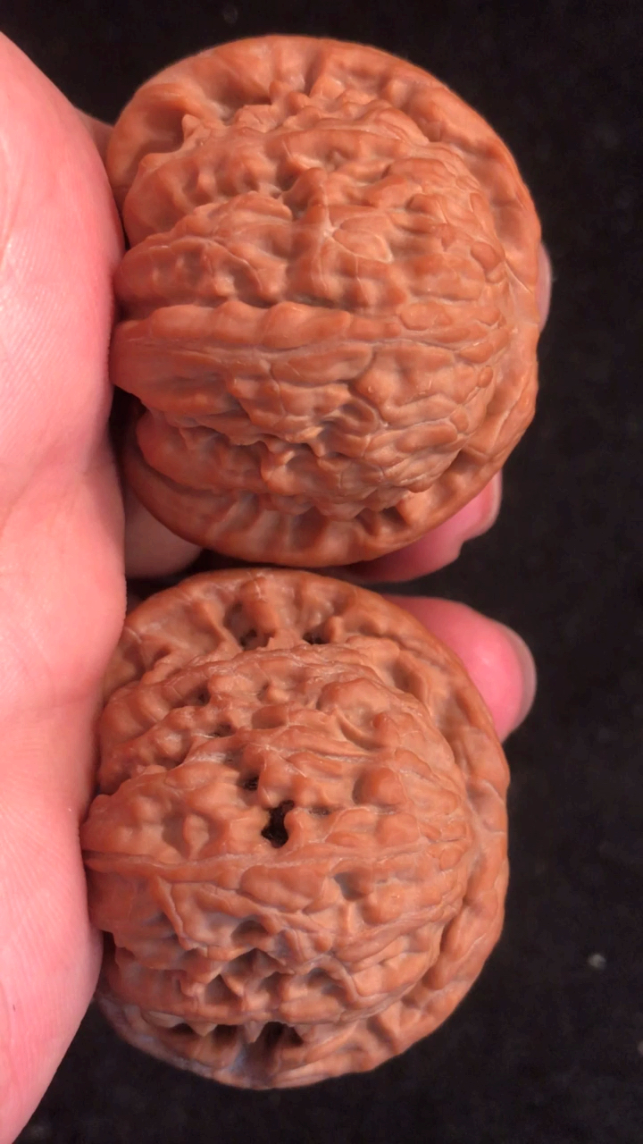 小精对闷尖白狮子头