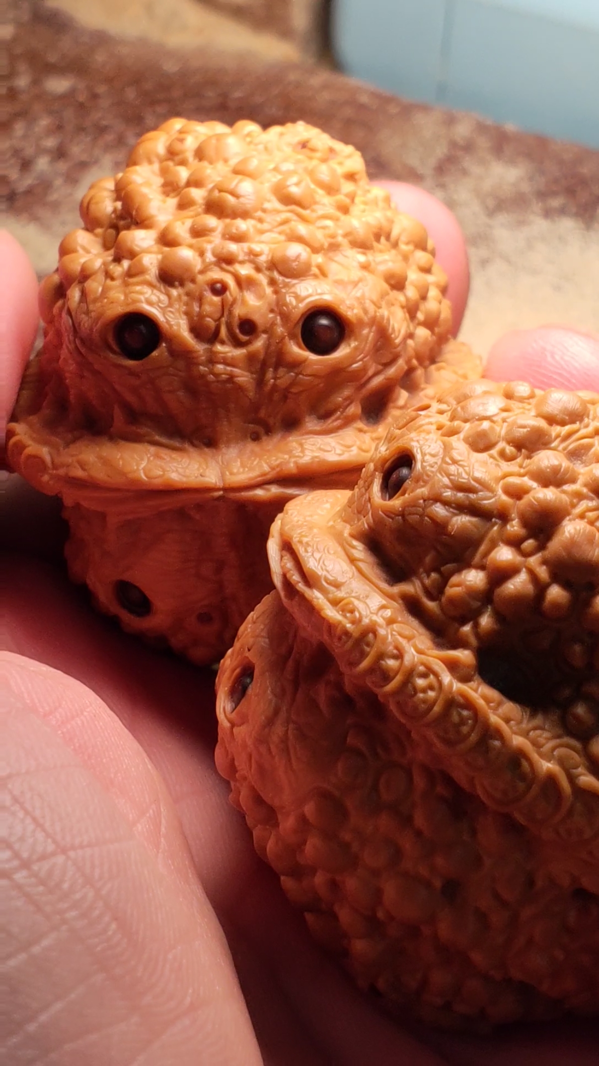 四只眼的蛤蟆谁见过?