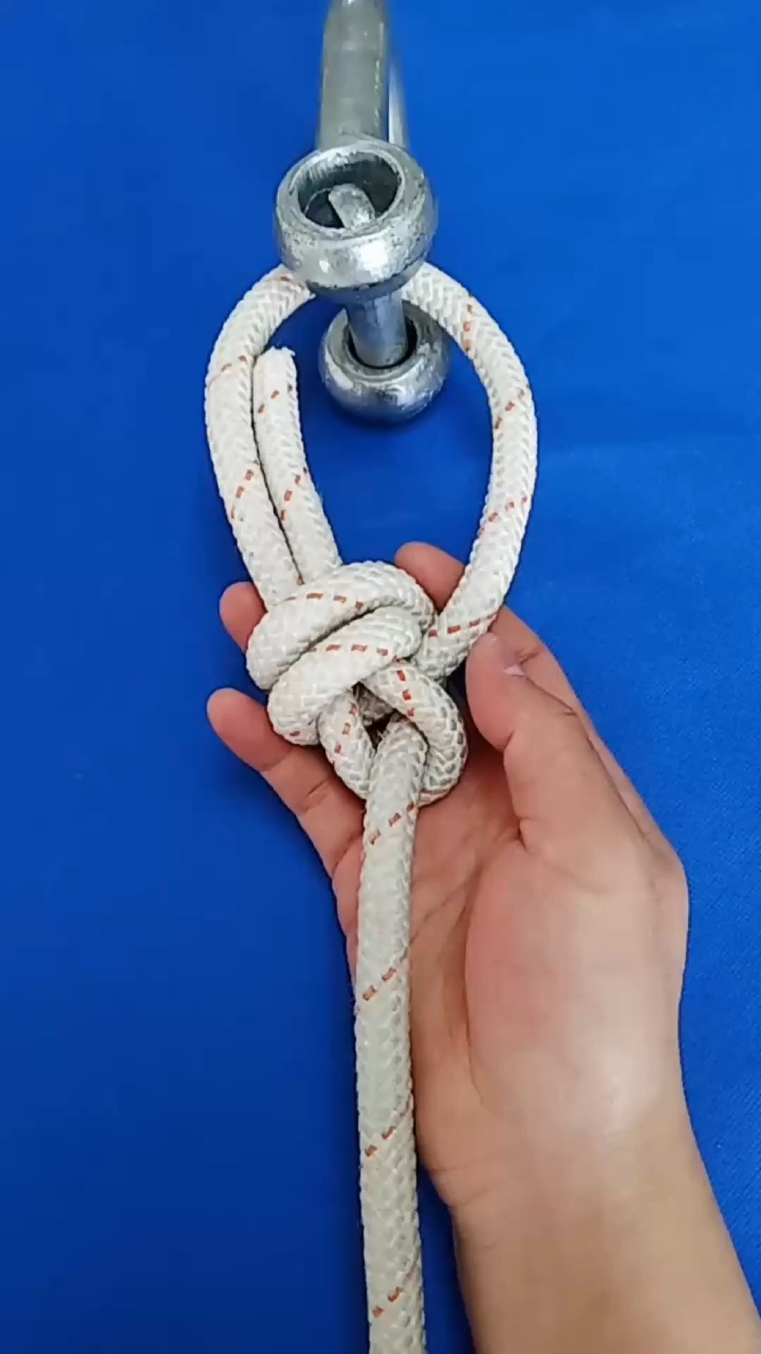 明星娱乐#逃生结保命结让你正确打结保护自我